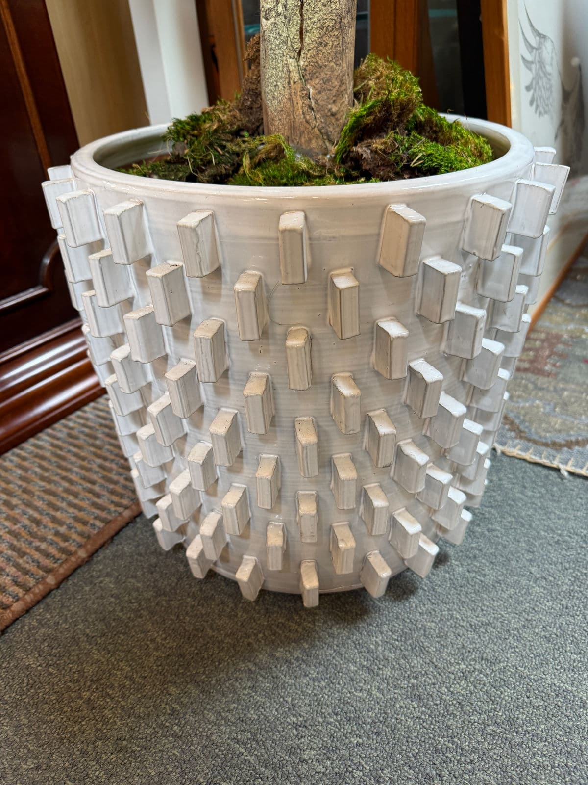 New Growth Design Banyan Tree With Pot - Thumbnail 8