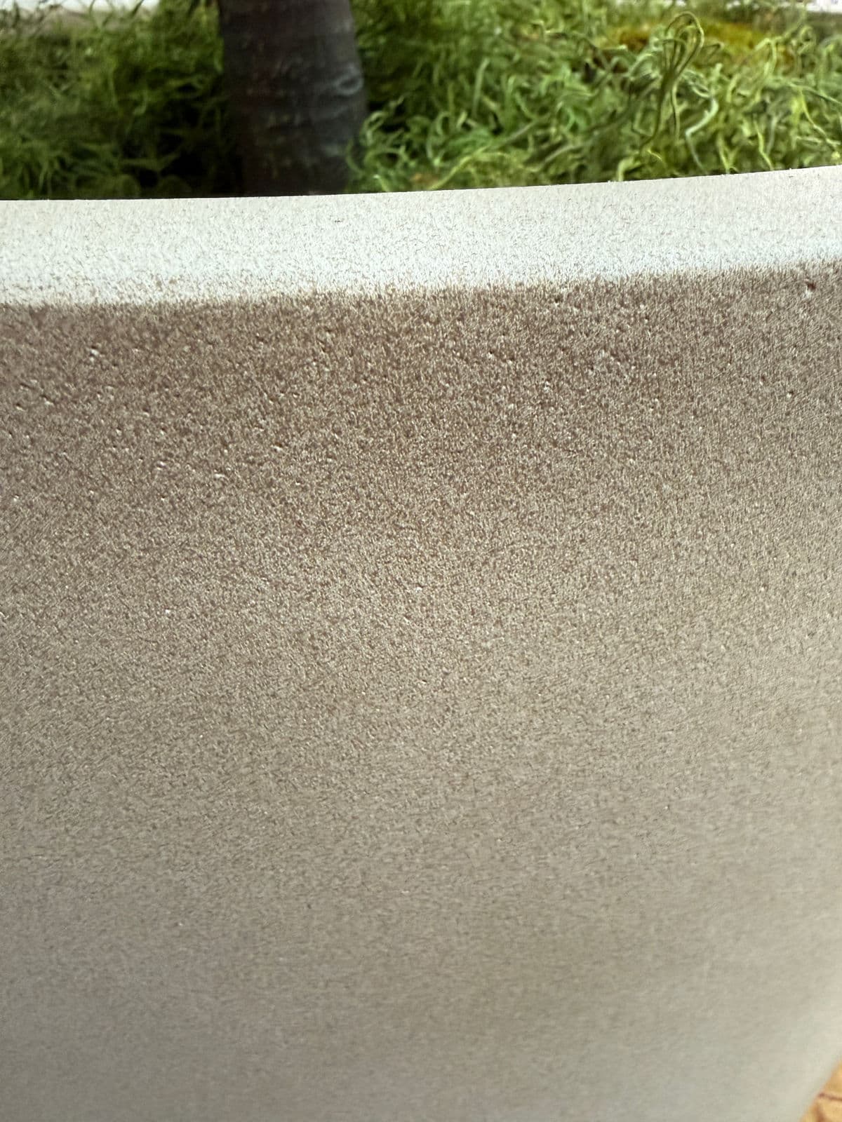 Faux Fiddle Tree in Ceramic Pottery - Thumbnail 10