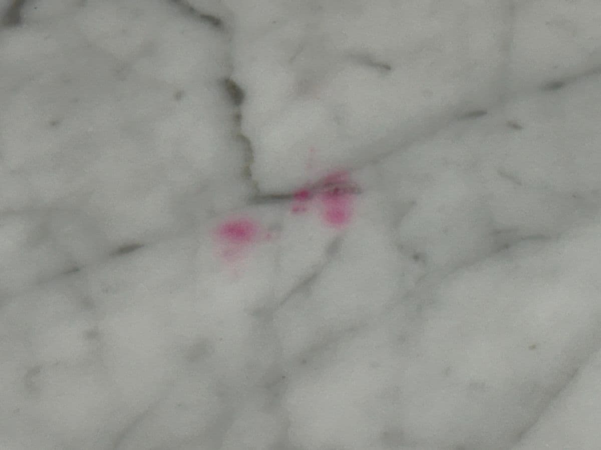 Room & Board Parsons Venato Marble Dining Table - Thumbnail 12