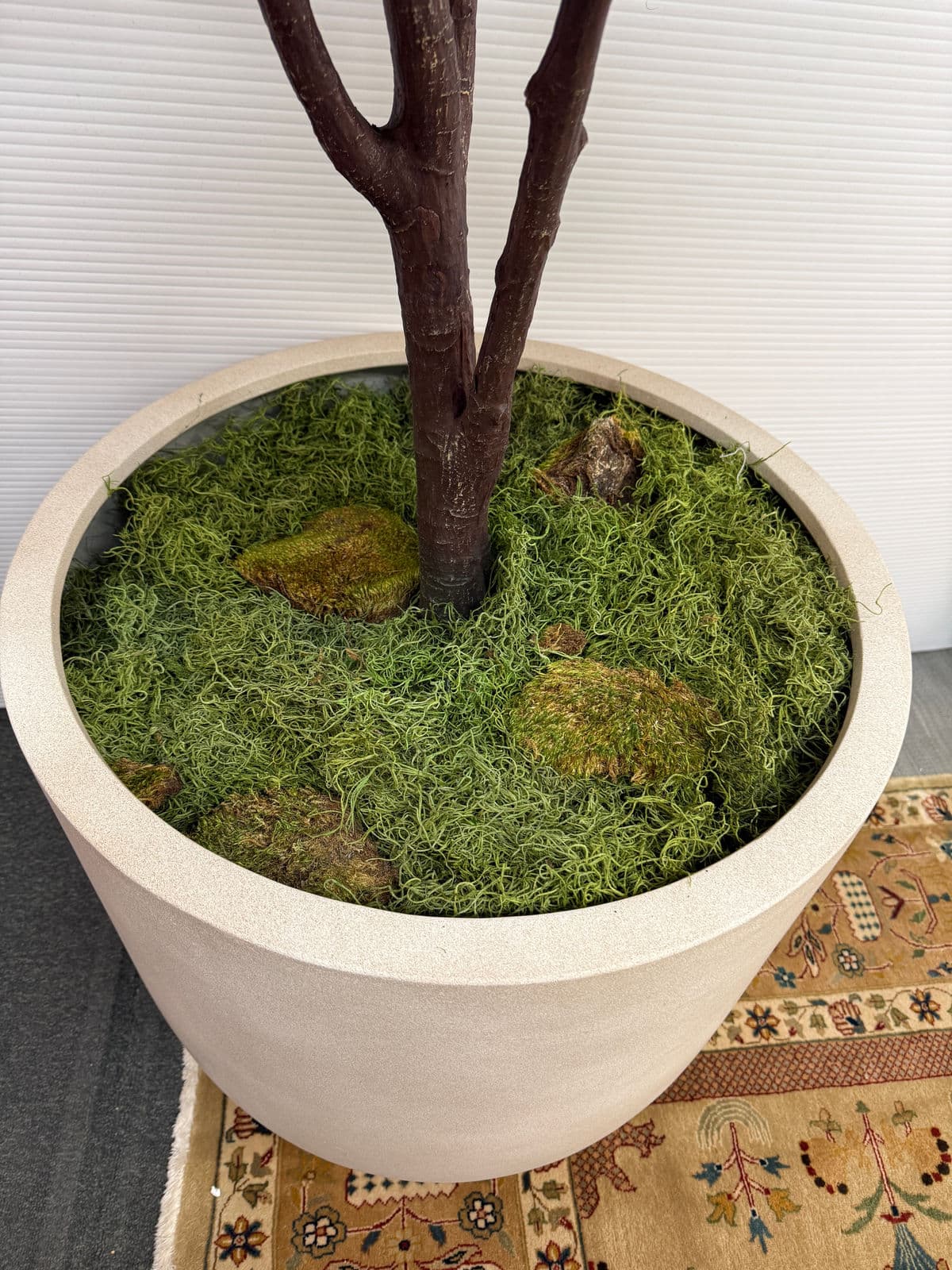 Faux Fiddle Tree in Ceramic Pottery - Thumbnail 5