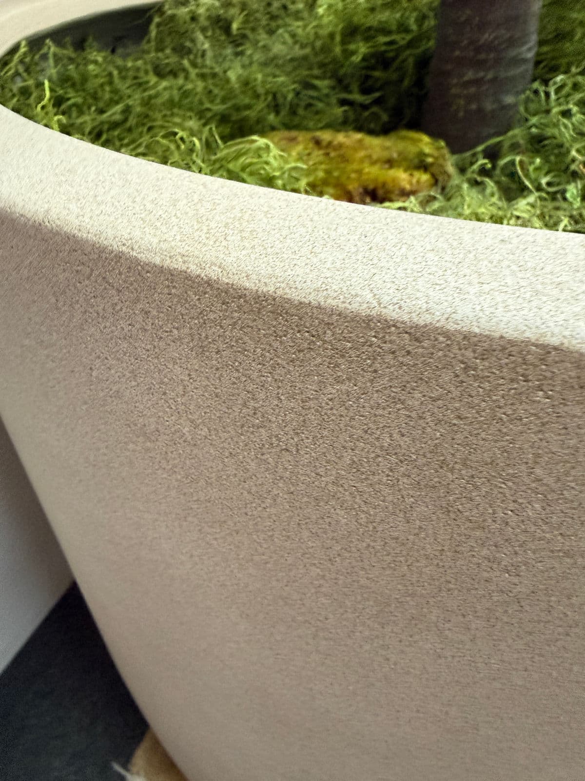 Faux Fiddle Tree in Ceramic Pottery - Thumbnail 11