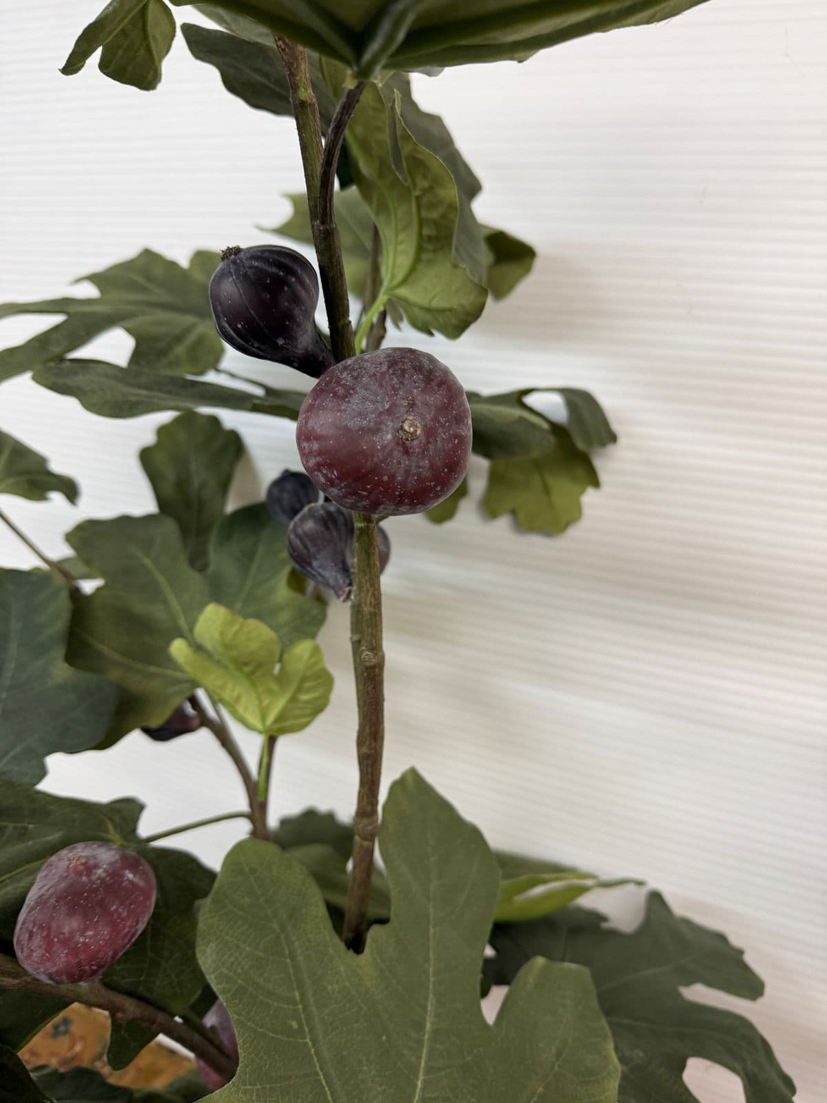 Faux Fig Tree in Ceramic Pot - Thumbnail 12