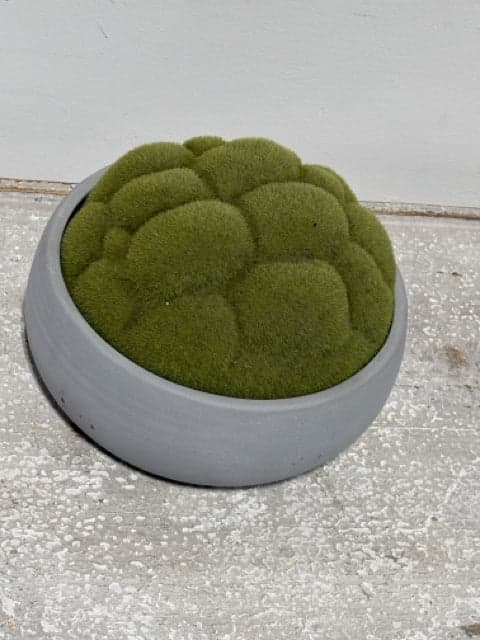 Planter with Moss - Thumbnail 2