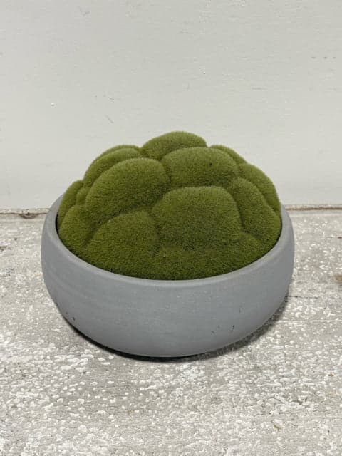 Planter with Moss - Image 1