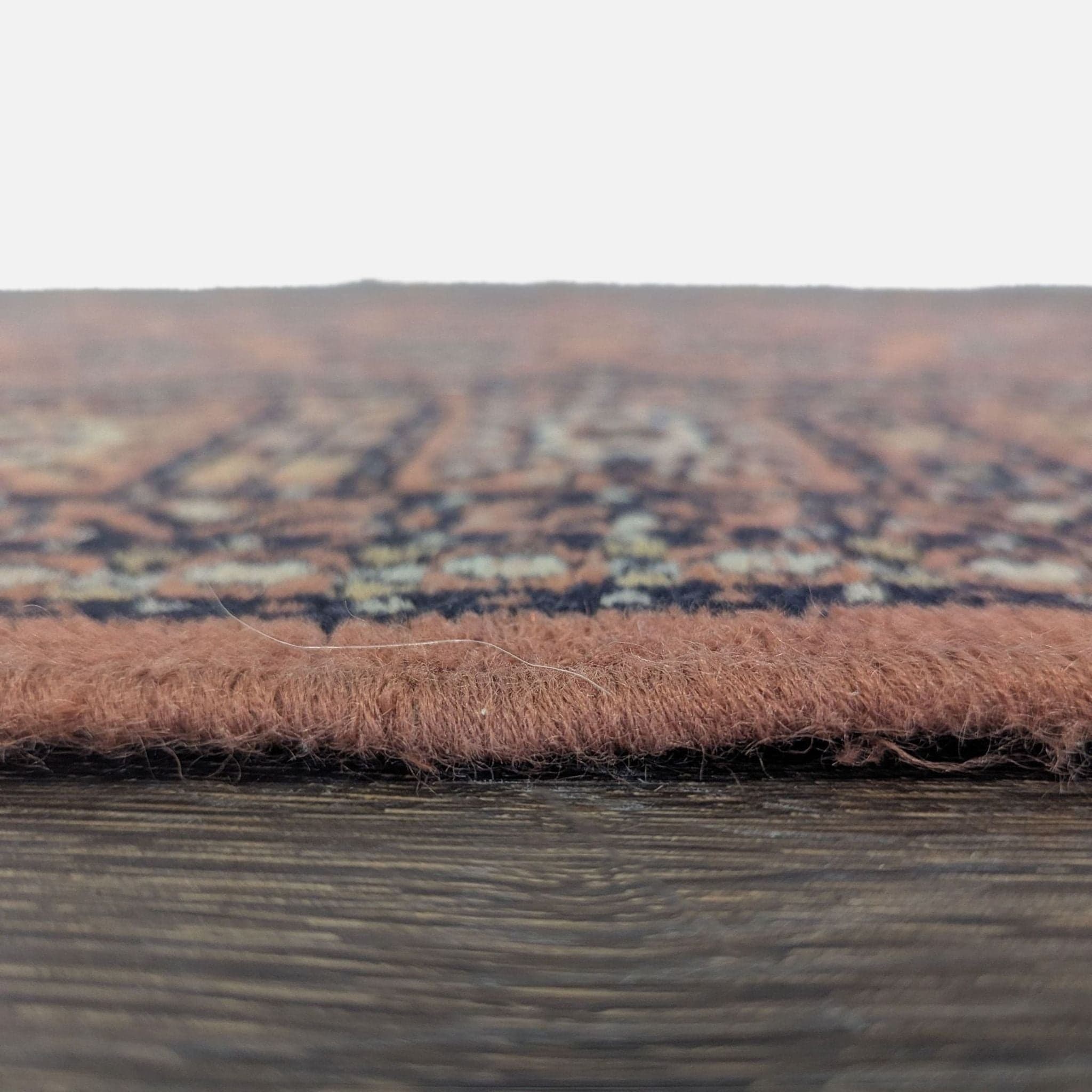 Caspian 4x6 Traditional Pattern Rug with Floral Border, Warm Rust and Black Tones - Thumbnail 4