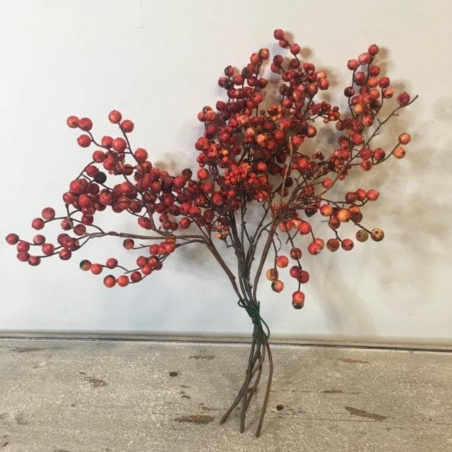 Red and Orange Berry Bundle - Image 1