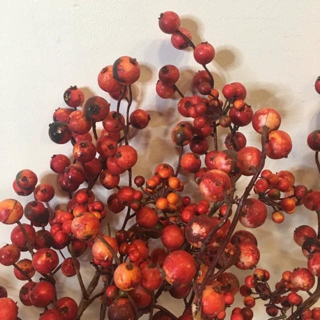 Red and Orange Berry Bundle - Thumbnail 2