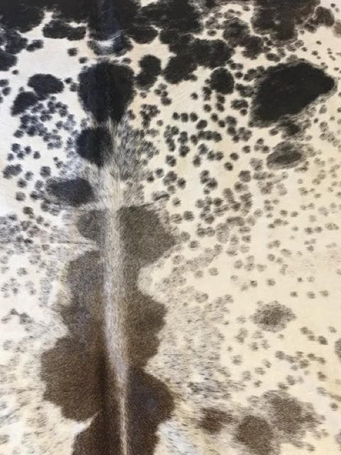 *NEW* Ivory, Espresso & Chocolate Cowhide - Thumbnail 2