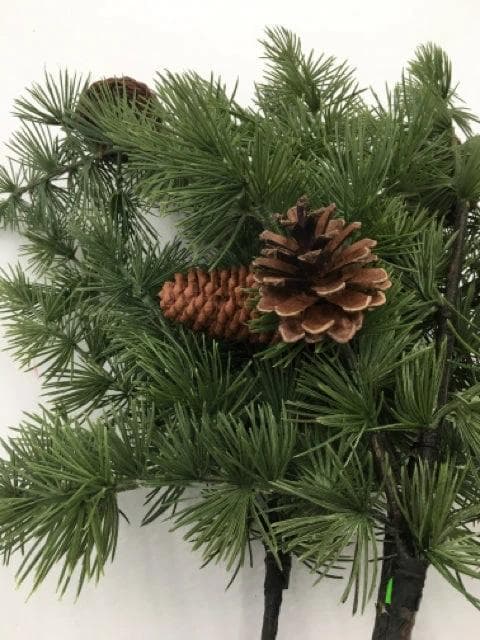 Pine Needles with Pinecones on Stem - Thumbnail 2