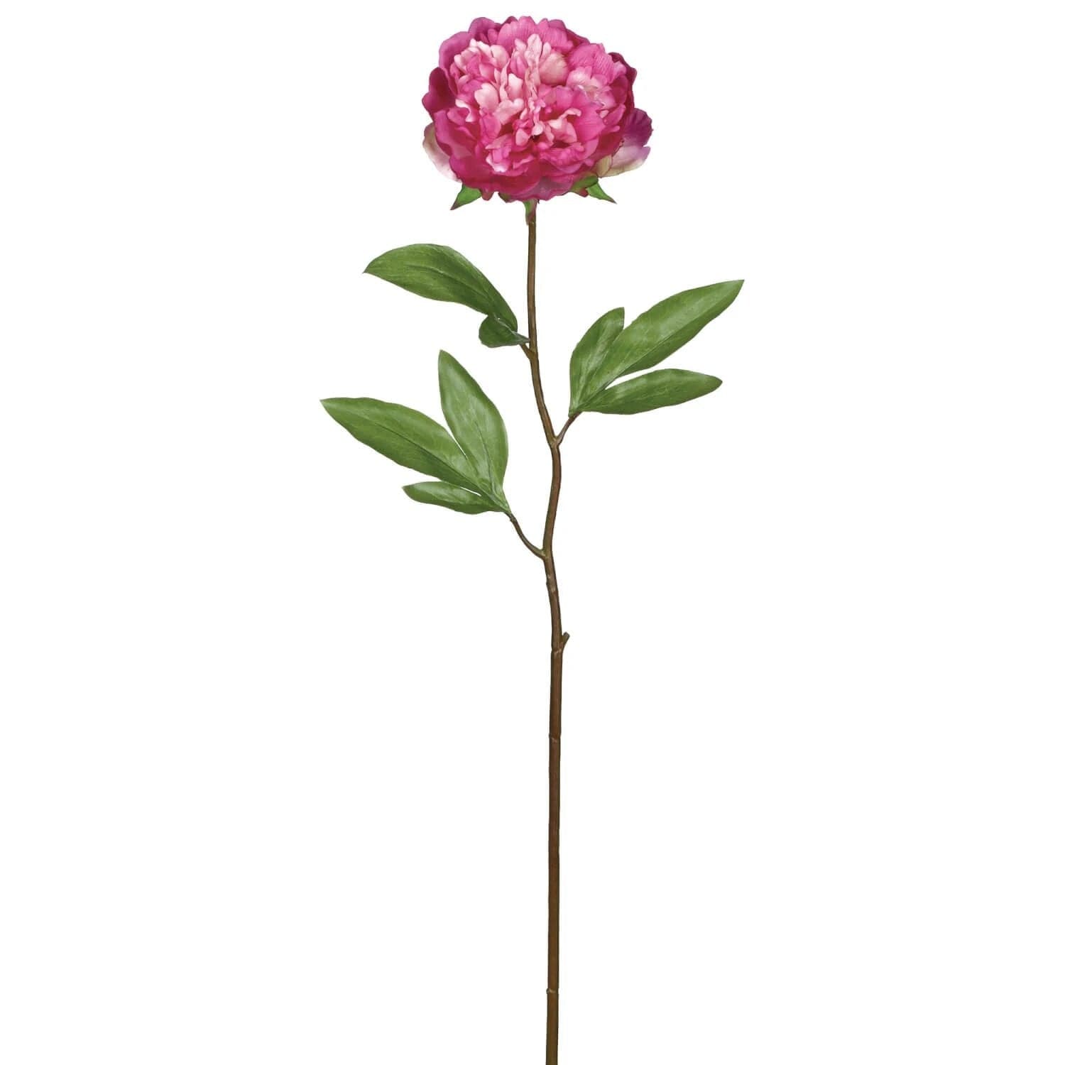 *NEW* Dark Pink Peony Stem - Image 1