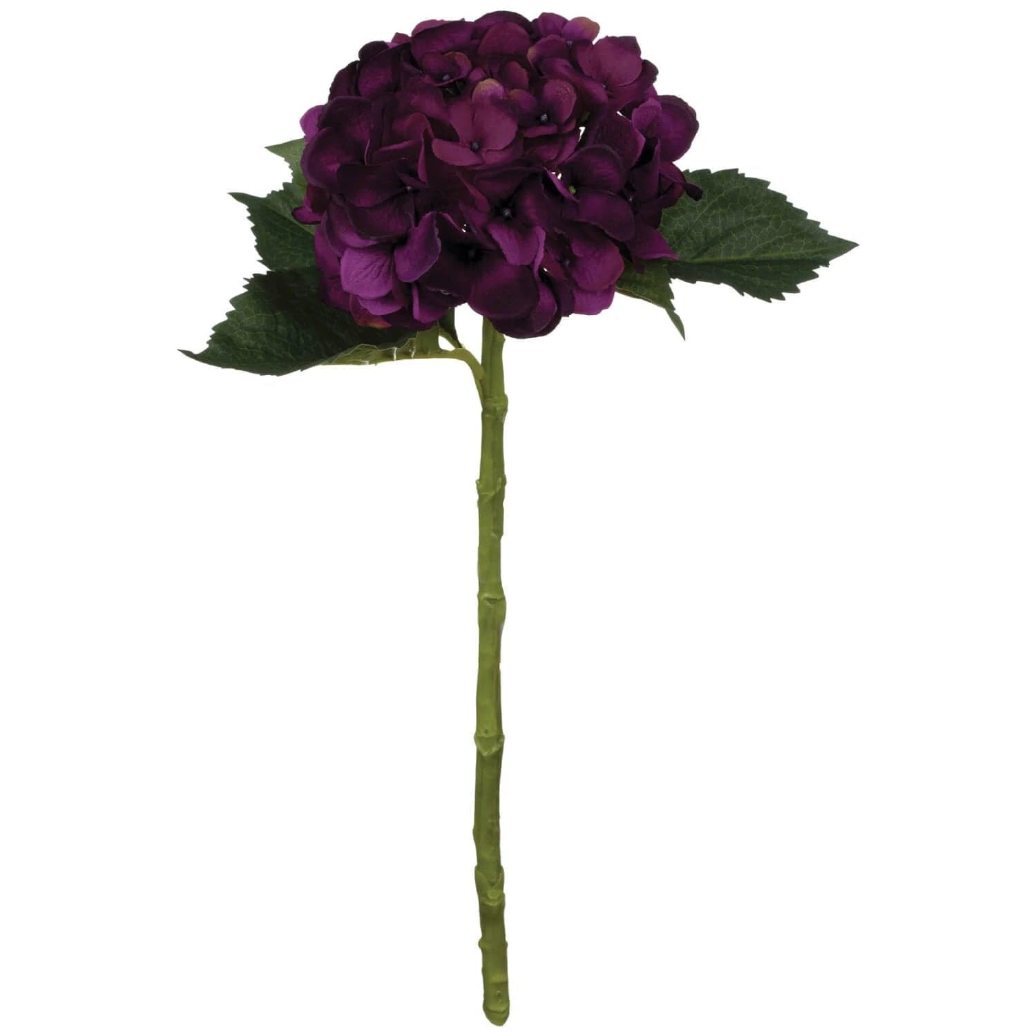 *NEW* Dahlia Stem - Image 1