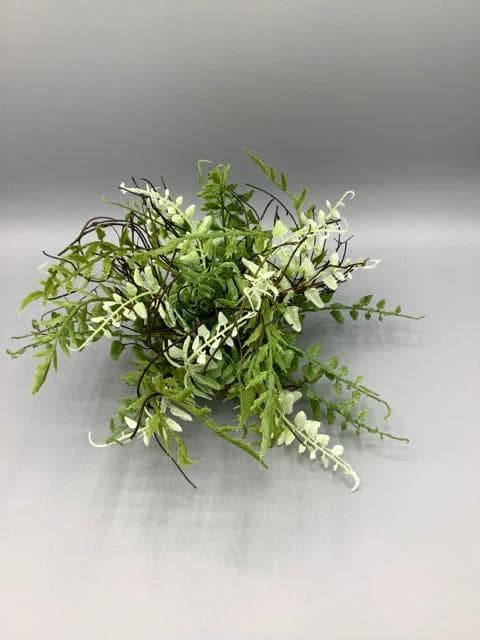 *NEW* Fern Twig Half Orb - Image 1