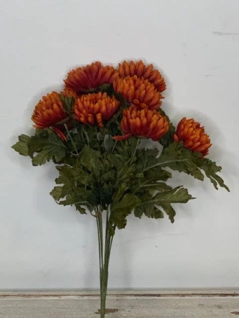 *NEW* Rust Mum Bush - Image 1