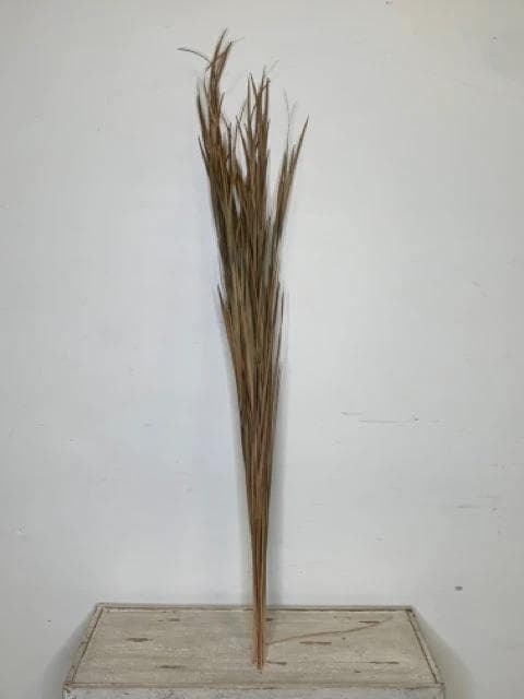 *NEW* Natural Wild Grass - Image 1