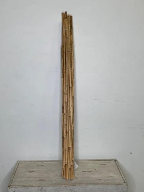 *NEW* 3.5' Natural River Cane - Image 1
