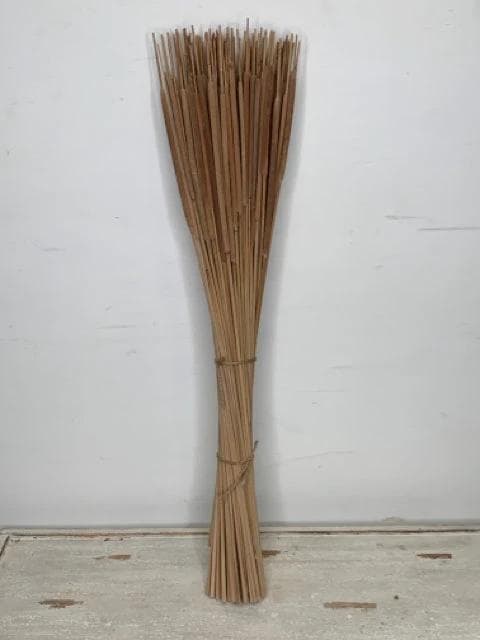 *NEW* Light Brown Pencil Cattails - Image 1