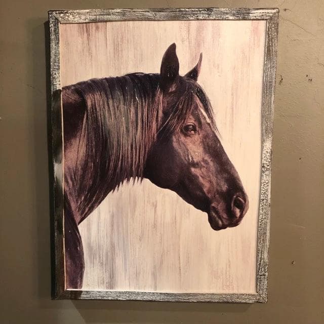 *NEW* Duke the Horse Canvas Art - Image 1