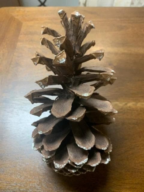 Oversized Sparkly Frosted Pine Cones - Image 1