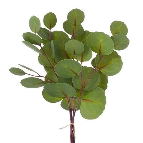 *NEW* 13.5" Eucalyptus Bundle - Image 1