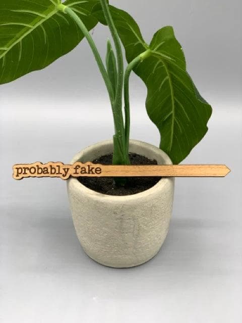 *NEW* Punny Plant Stake- Probably Fake - Image 1