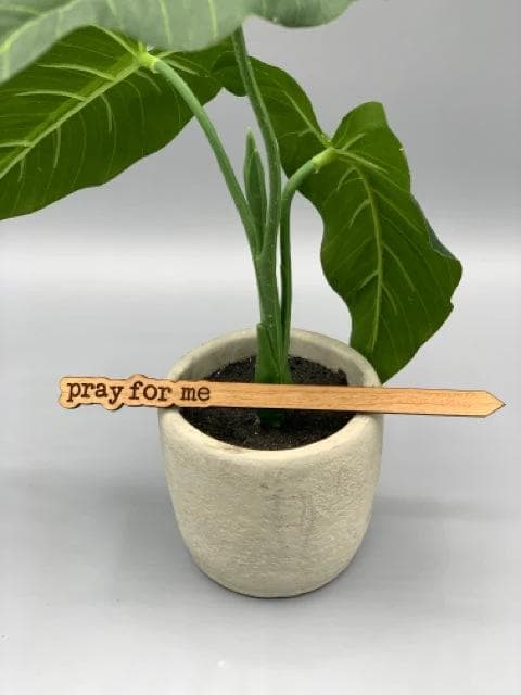 *NEW* Punny Plant Stake- Pray For Me - Image 1