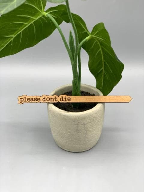 *NEW* Punny Plant Stake- Please Don't Die - Image 1