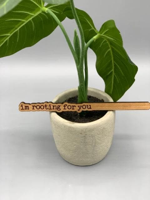 *NEW* Punny Plant Stake- I'm Rooting For You - Image 1