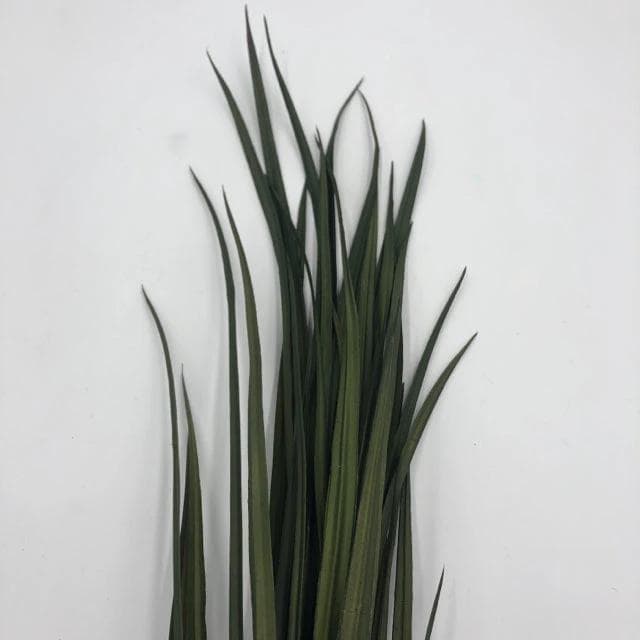 36"L Grass Bush Bundle of 3 Stems - Image 1