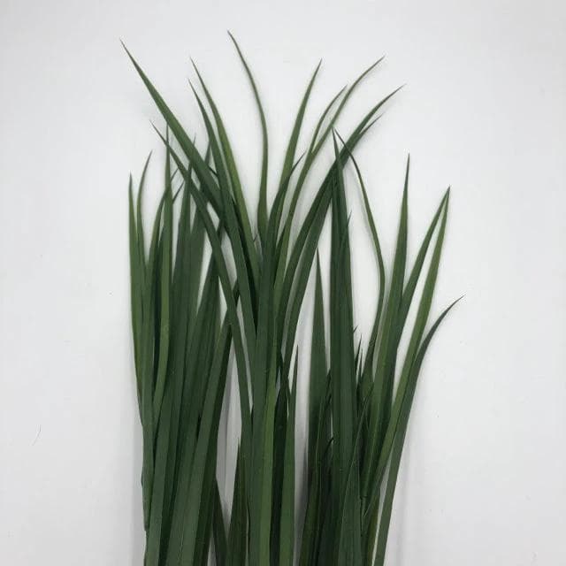 44"L Grass Bush Bundle of 5 Stems - Image 1