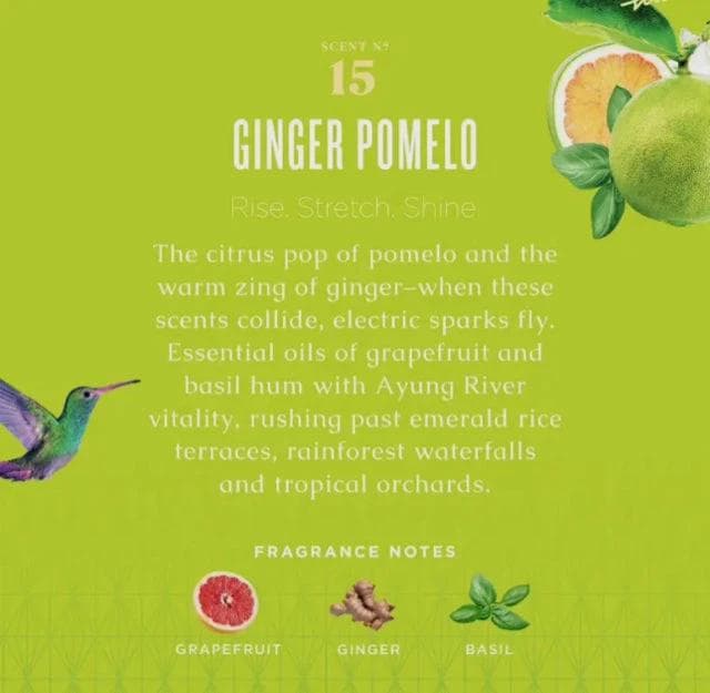 *NEW* Caldrea Ginger Pomelo Linen & Room Spray with Aloe Vera & Ginger Oil - Thumbnail 2