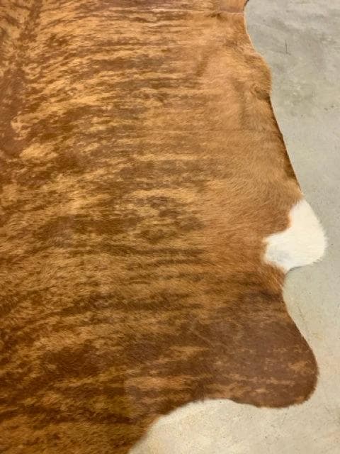 *NEW* 6'x6' Two-Toned Brown Cowhide - Thumbnail 2