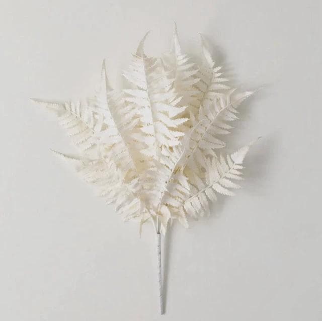 *NEW* Cream Boston Fern Bush - Image 1