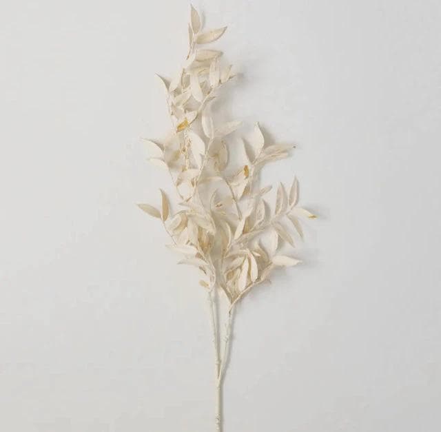 *NEW* Cream Ruscus Branch - Image 1
