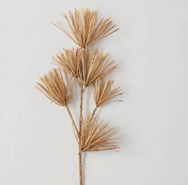 *NEW* Amber Brown Podocarpus Stem - Image 1