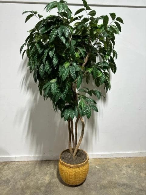 Faux Tree in Woven Basket - Image 1