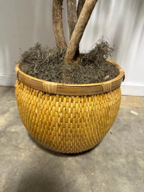 Faux Tree in Woven Basket - Thumbnail 2