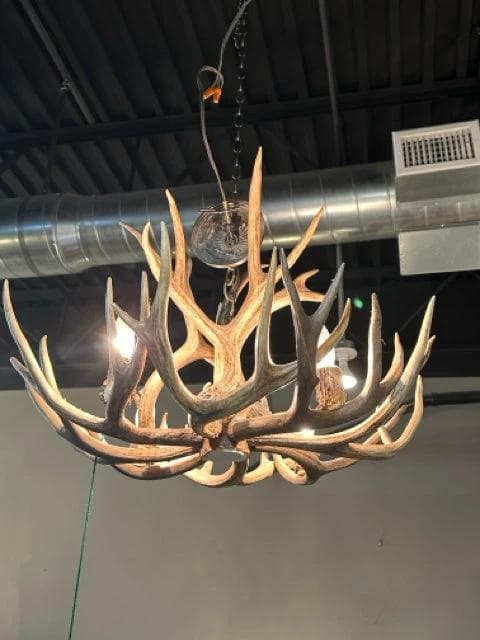 Antler Chandelier 4-Light Fixture - Image 1