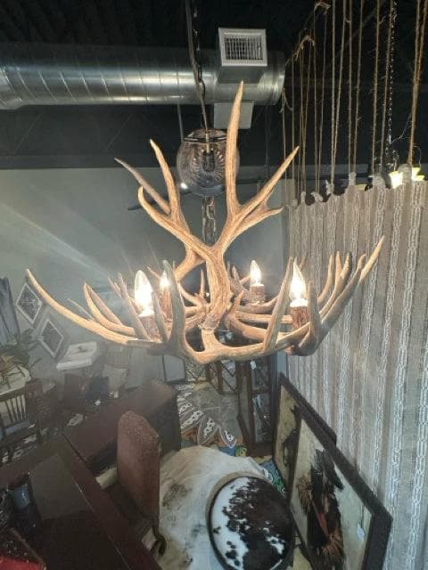 Antler Chandelier 4-Light Fixture - Thumbnail 2