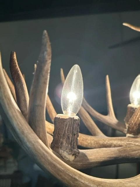 Antler Chandelier 4-Light Fixture - Thumbnail 3