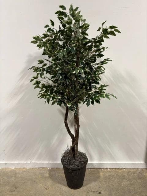 Faux Tree In Black Pot - Image 1