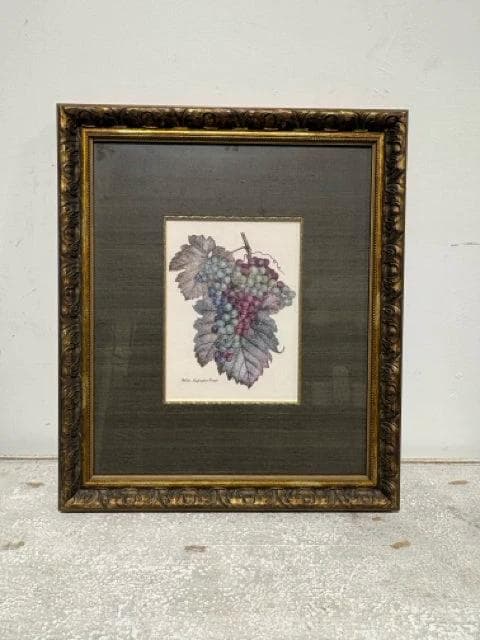 White Muscadine Grape Framed Wall Art - Image 1