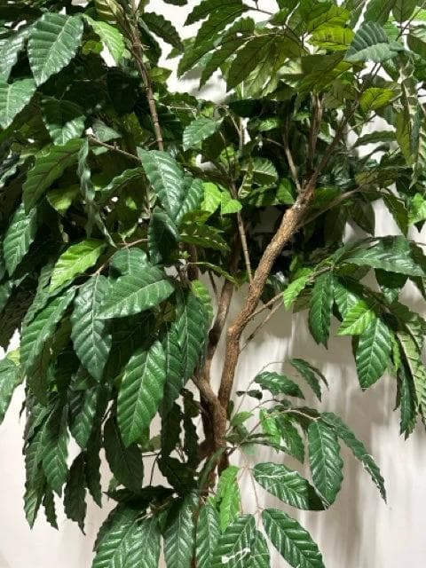 Faux Tree in Woven Basket - Thumbnail 3