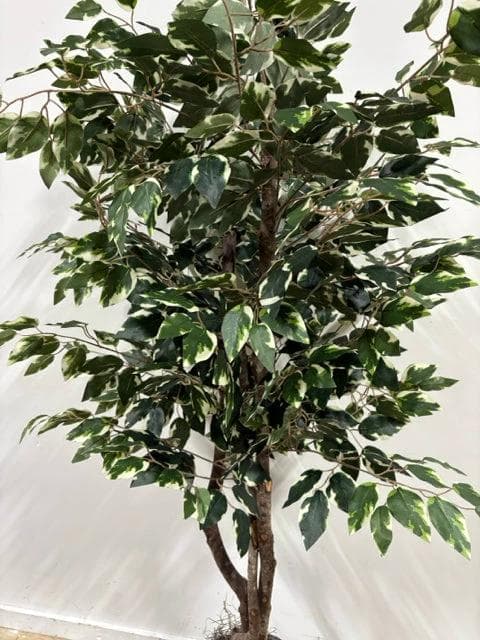 Faux Tree In Black Pot - Thumbnail 2