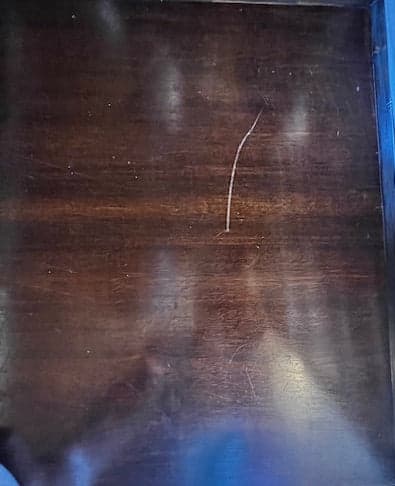 Mid Century Modern Cedar Lined Rosewood Trunk w/Drawer DH250-3 - Thumbnail 9