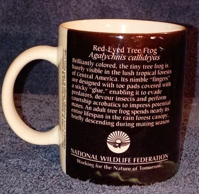 National Wildlife Federation Red-Eyed Tree Frog Ceramic Coffee Mug 1993 Vintage - Thumbnail 2