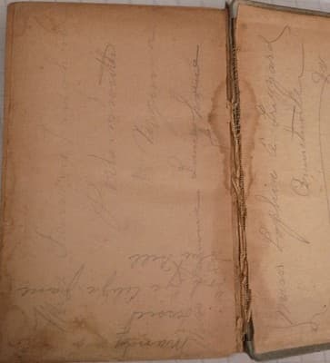 Daniel Defoe Robinson Crusoe Illustrated Hardcover International Book Company - Thumbnail 11