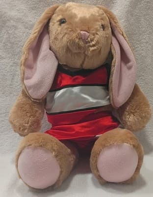 Build-A-Bear Workshop Bunny Plush Doll Red Outfit Washable 022601 2017 - Image 1
