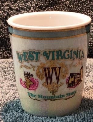 West Virginia Mother Of Pearl Porcelain Shot Glass Vintage 1980's (VERY RARE) - Image 1
