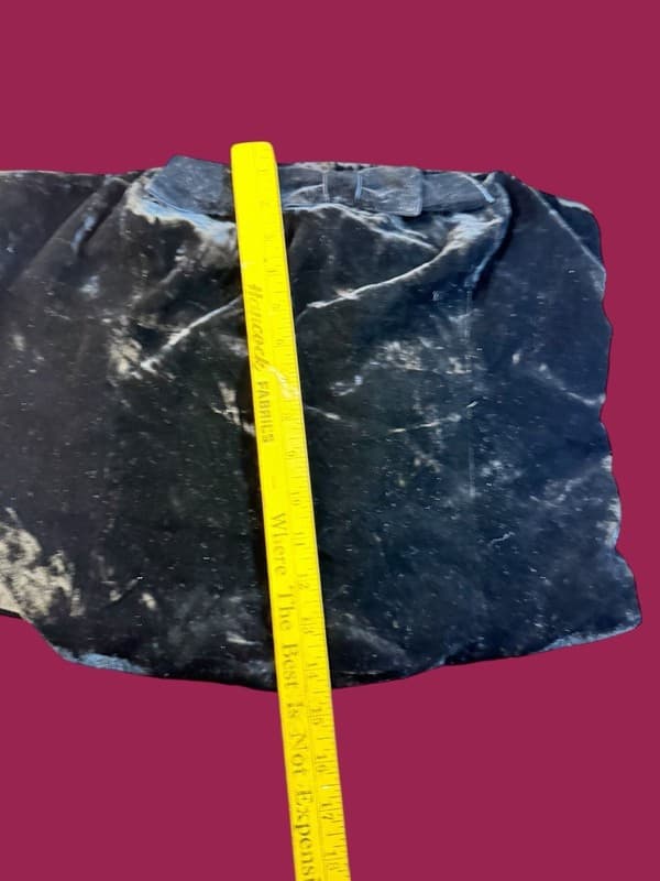 NWT WAYF Black Crushed Velvet Strapless Bow Tube Top Size XL - Thumbnail 5