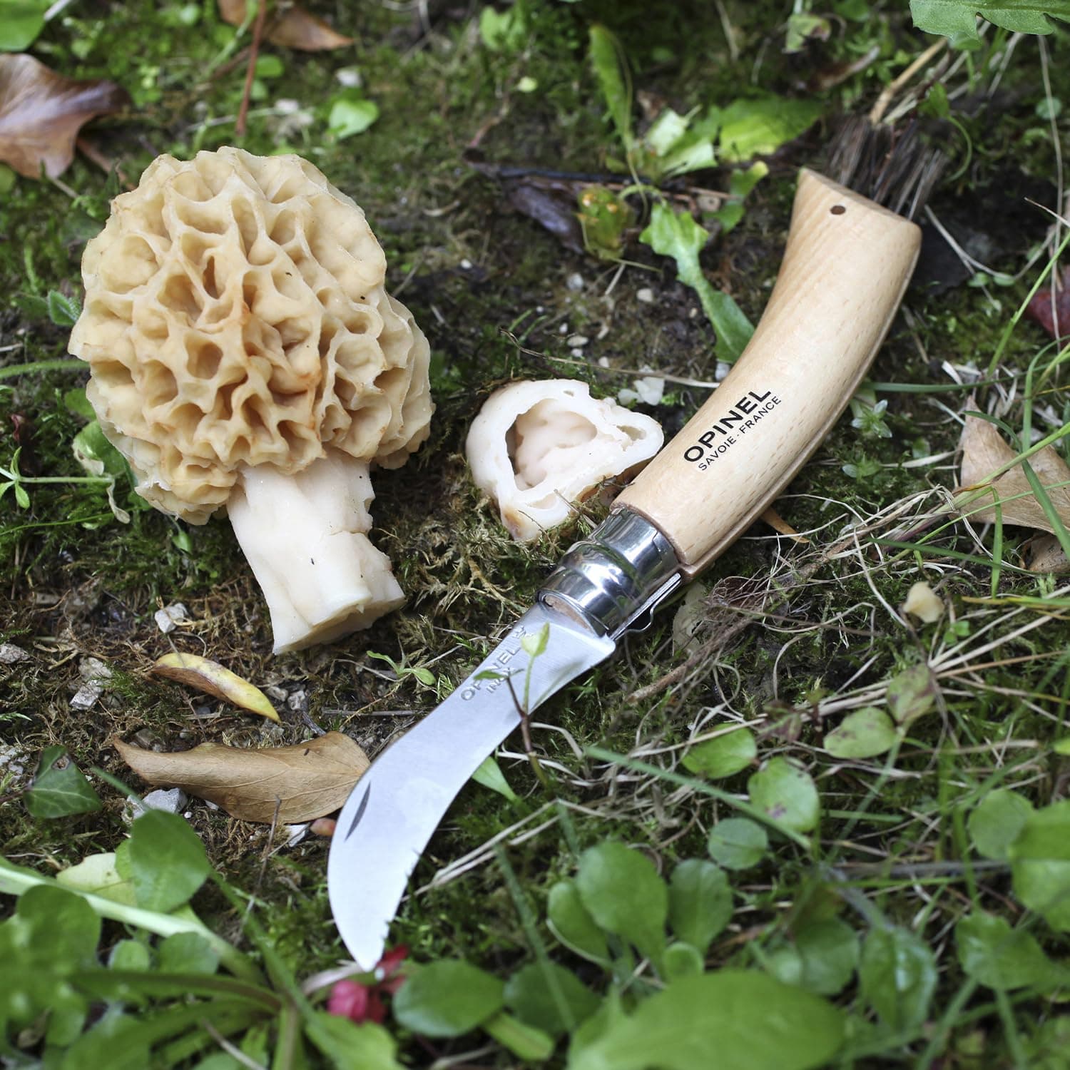 Opinel No. 08 Mushroom Knife - Beechwood Handle, Sandvik Steel, Integrated Brush - Thumbnail 7